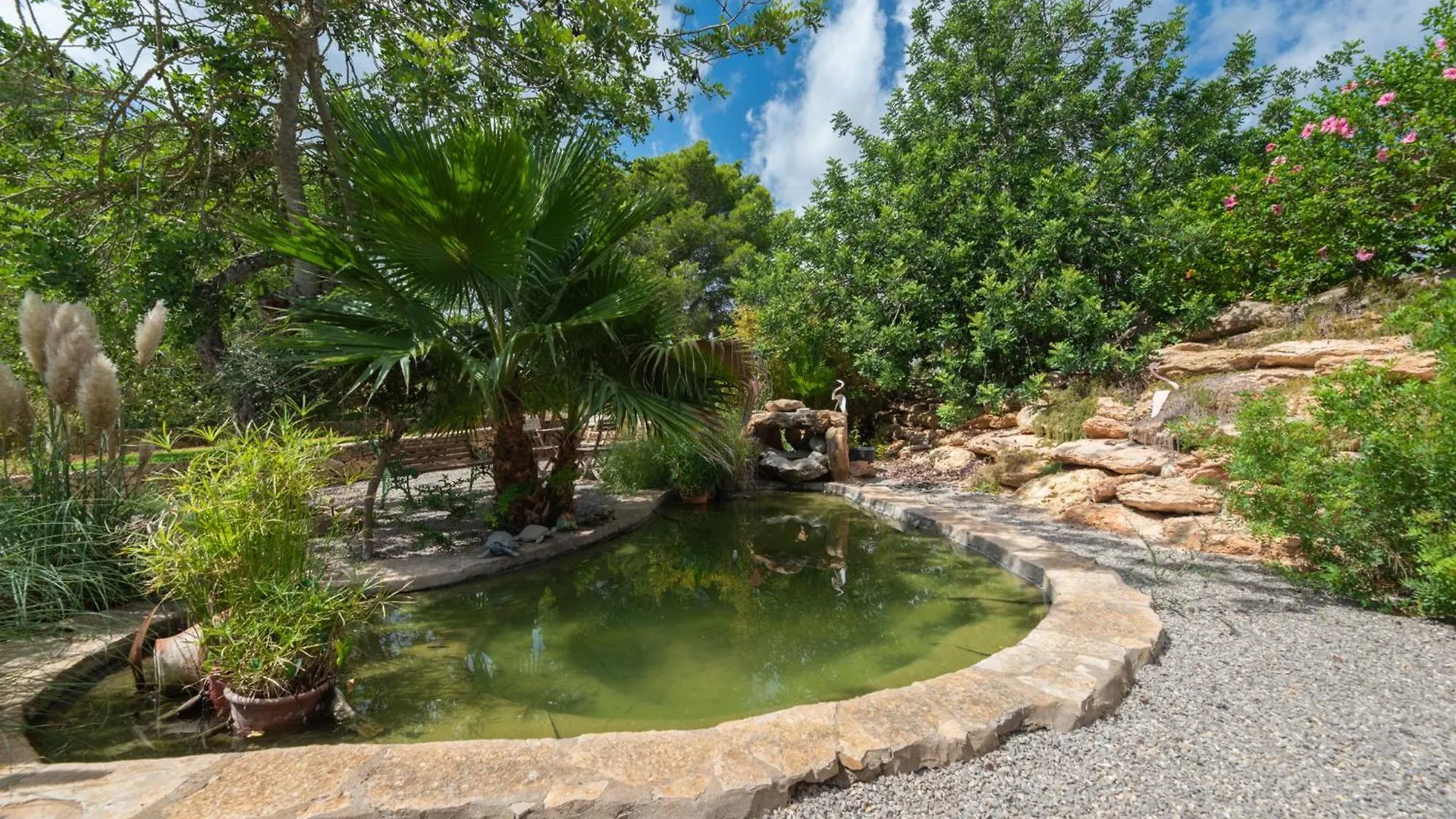 Villa Munt Blanc Ibiza Puig D'en Valls 0*,